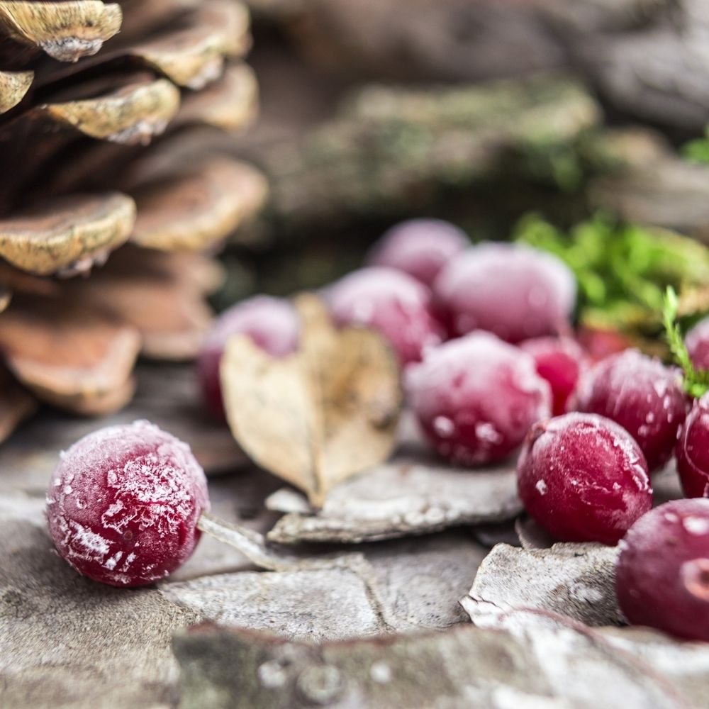 Frosted Cranberry <br>Soy Candle